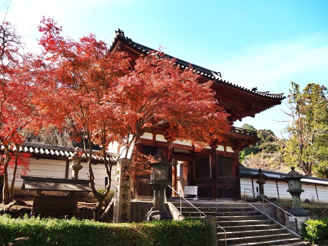 🏯 금강사 (콘고지) 이미지 1